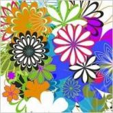 Flores 7